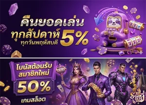 เว็บ ruayhuay